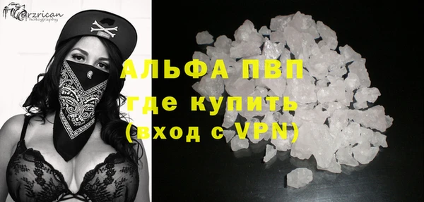 молекула духа Новый Уренгой