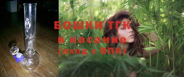 винт Новозыбков