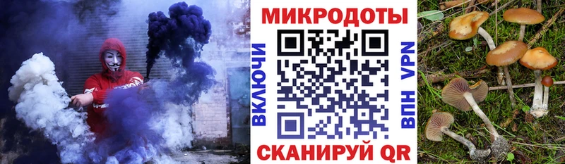 Псилоцибиновые грибы Psilocybe  Катав-Ивановск 